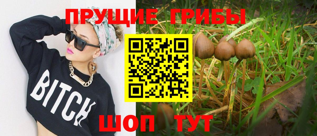 Галлюциногенные грибы ЛСД  Вход с VPN  Дмитров 